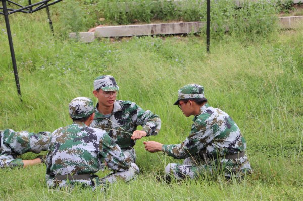 1540862620850652.jpg 10.jpg